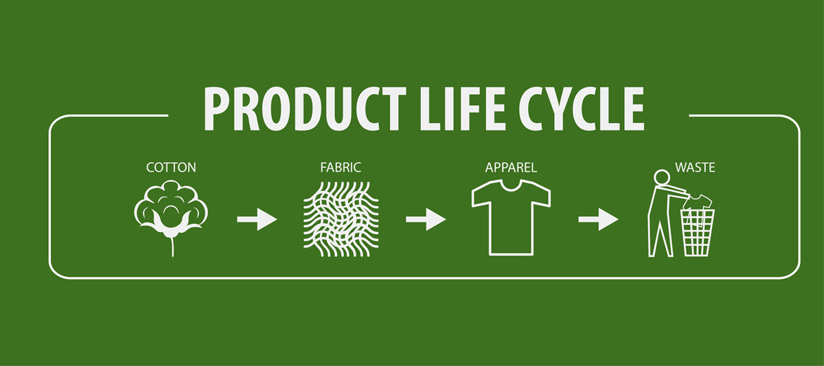 product life cycle