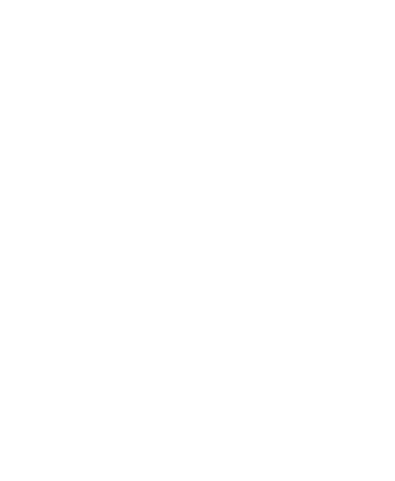 Magento Development Services - icon of head with icon showing knowledge